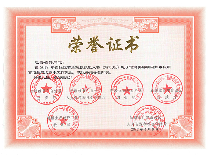 2017年《物聯網技術應用》指導老師獎